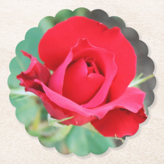 Dessous-de-verre En Papier Rouge Rosebud