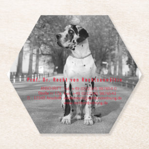 Dessous-de-verre En Papier Sous-verres en papier pour photographes