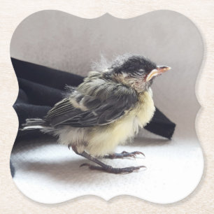 Dessous-de-verre En Papier Tidi my Bird le Parus Major