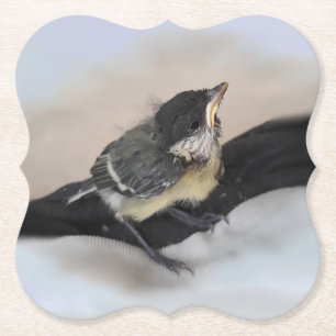 Dessous-de-verre En Papier Tidi my Bird le Parus Major