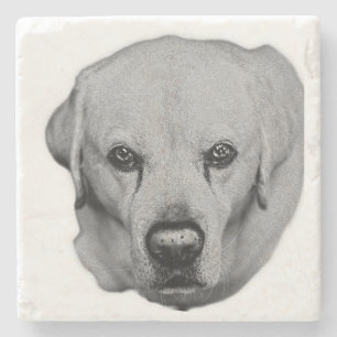 DESSOUS-DE-VERRE EN PIERRE 