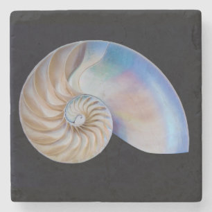 Dessous-de-verre En Pierre À L'Intérieur Du Nautilus