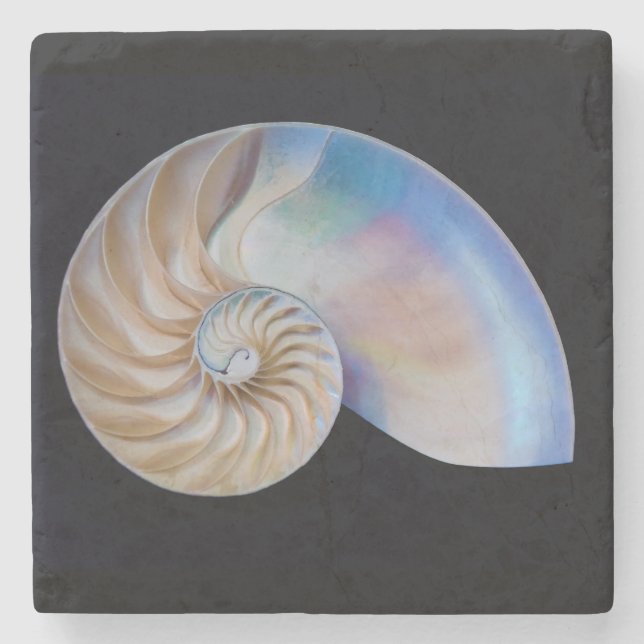 Dessous-de-verre En Pierre À L'Intérieur Du Nautilus (Devant)