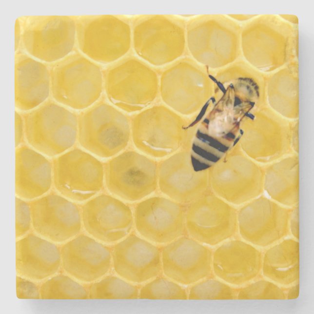 Dessous-de-verre En Pierre abeille et nid d'abeille (Devant)