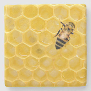 Dessous-de-verre En Pierre abeille et nid d'abeille