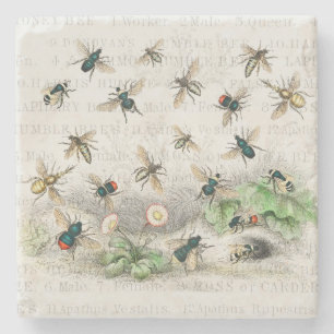 Dessous-de-verre En Pierre Abeille Reine Entomologie Botanique Vintage
