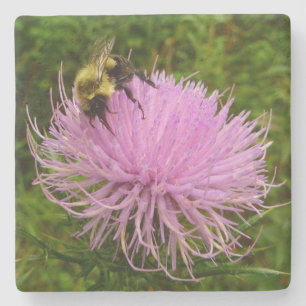 Dessous-de-verre En Pierre Abeille sur la nature de la fleur de chardon