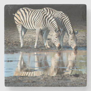Dessous-de-verre En Pierre Afrique,Botswana, Delta de l'Okavango, Davison Cam