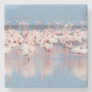 Dessous-de-verre En Pierre Afrique, Namibie, Walvis Bay
