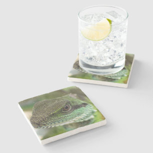 Dessous-de-verre En Pierre Agama, lézard