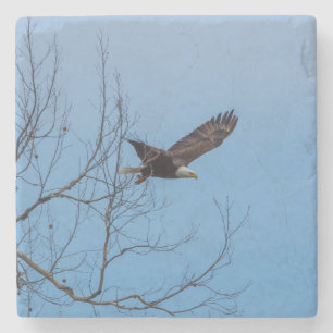 Dessous-de-verre En Pierre Aigle en vol