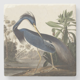 Dessous-de-verre En Pierre Aigrette de Louisiane, oiseau, Art vintage d'Audub