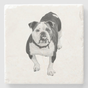 Dessous-de-verre En Pierre Ami d'hiver, Coaster Bulldog