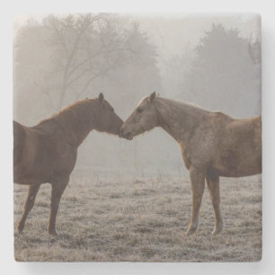 Dessous-de-verre En Pierre Amour de cheval