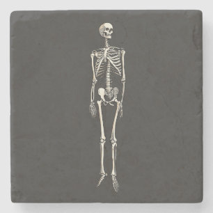 Dessous-de-verre En Pierre Anatomie du squelette humain dessin de style pop a
