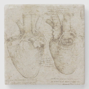 Dessous-de-verre En Pierre Anatomie humaine du coeur de da Vinci