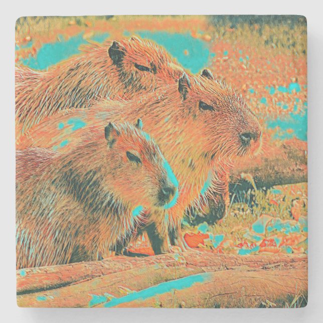 Dessous-de-verre En Pierre AnimalMix_Capybara_006 (Devant)