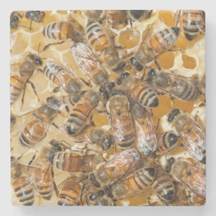 Dessous-de-verre En Pierre Apiculture à Arlo's Honey Farm