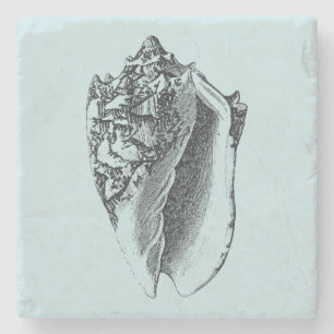 Dessous-de-verre En Pierre Aqua Conch Shell