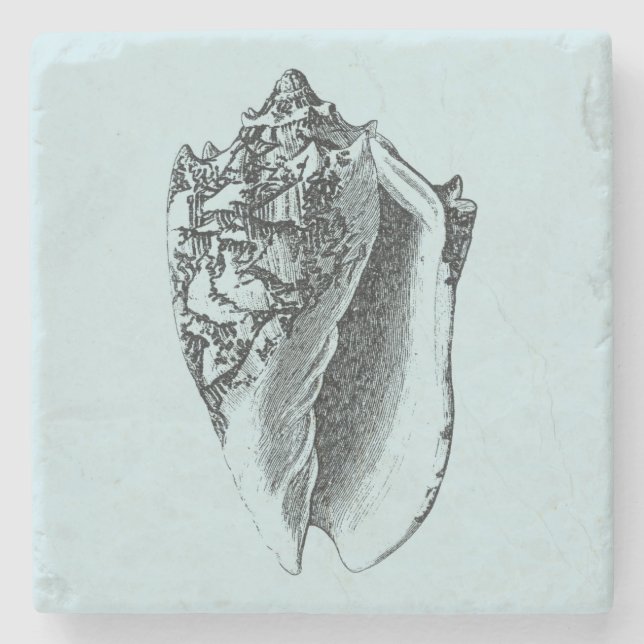 Dessous-de-verre En Pierre Aqua Conch Shell (Devant)