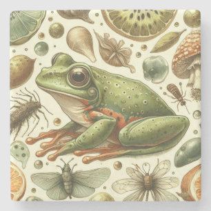 Dessous-de-verre En Pierre Aquarelle vintage de grenouille