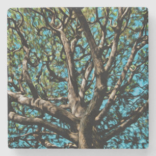 Dessous-de-verre En Pierre Arbre de chêne