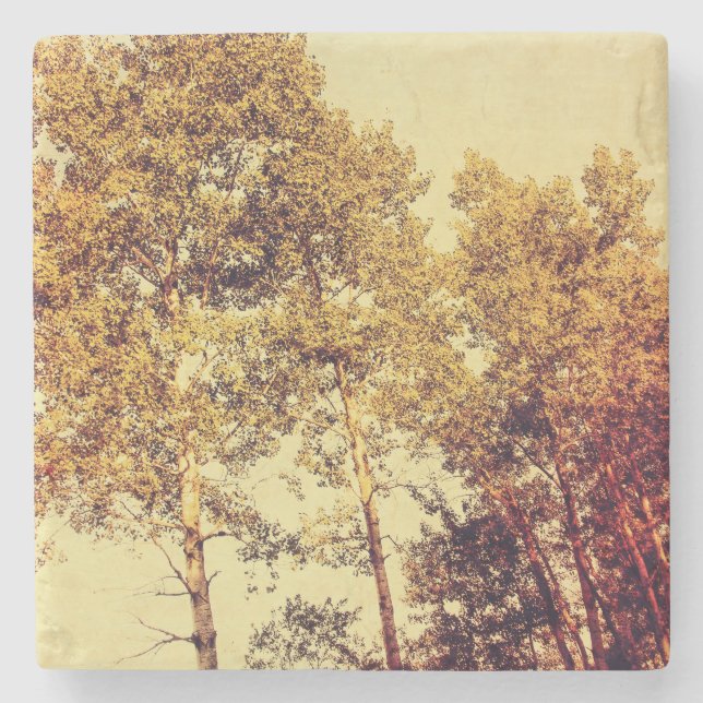 Dessous-de-verre En Pierre arbres (Devant)