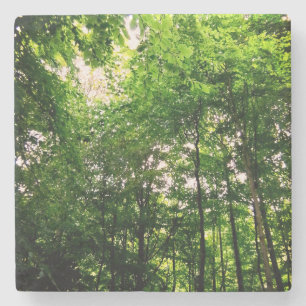 Dessous-de-verre En Pierre Arbres