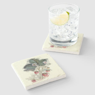 Dessous-de-verre En Pierre Ardoise vintage Plante fraise