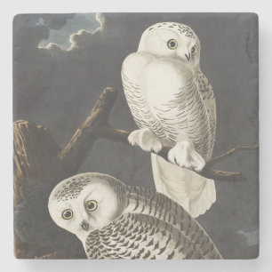Dessous-de-verre En Pierre Art ancien d'oiseau de nuit, chouette blanche d'Au