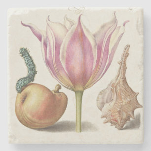 Dessous-de-verre En Pierre Art de calligraphie de la Renaissance Tulipe rose