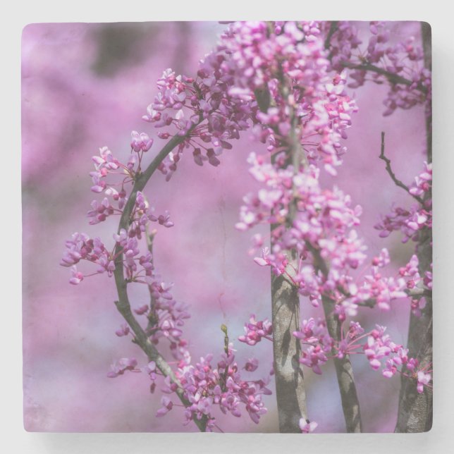 Dessous-de-verre En Pierre Art de l'Avondale Redbud (Devant)