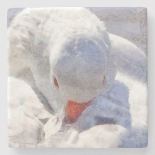 Dessous-de-verre En Pierre Art de prédiction du canard blanc