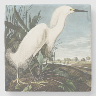 Dessous-de-verre En Pierre Art vintage d'Audubon représentant l'Aigrette neig