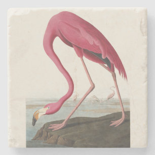 Dessous-de-verre En Pierre Art vintage d'Audubon représentant un flamant rose