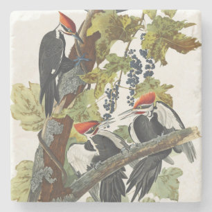 Dessous-de-verre En Pierre Art vintage d'Audubon représentant un Pic à tête r