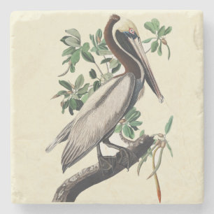 Dessous-de-verre En Pierre Art vintage d'Audubon sur le Pélican brun, oiseau