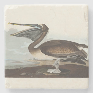 Dessous-de-verre En Pierre Art vintage d'Audubon sur le Pélican brun, oiseau