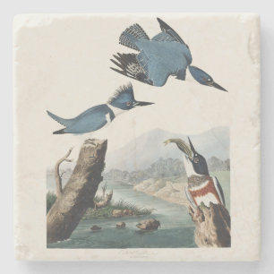 Dessous-de-verre En Pierre Art vintage d'oiseau martin-pêcheur à ceinture d'A