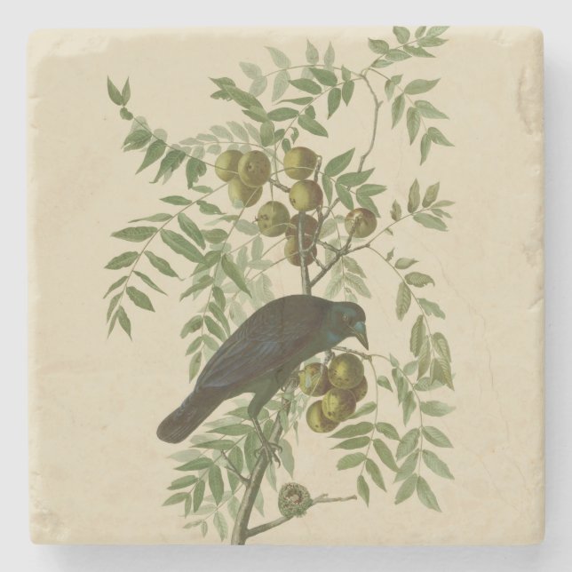 Dessous-de-verre En Pierre Audubon American Crow Black Bird (Devant)