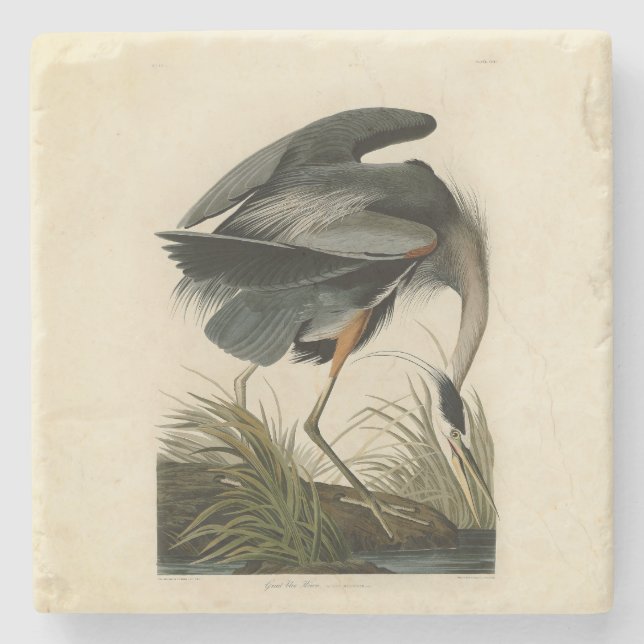Dessous-de-verre En Pierre Audubon Great Blue Heron Marsh Bird (Devant)