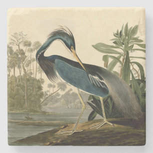 Dessous-de-verre En Pierre Audubon Héron de Louisiane Oiseaux Amérique Art