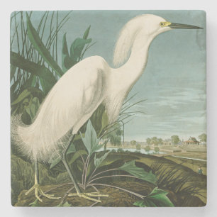 Dessous-de-verre En Pierre Audubon Héron de neige Oiseaux d'aigrettes blanche
