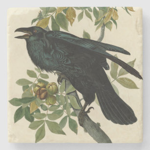 Dessous-de-verre En Pierre Audubon Raven Oiseau classique