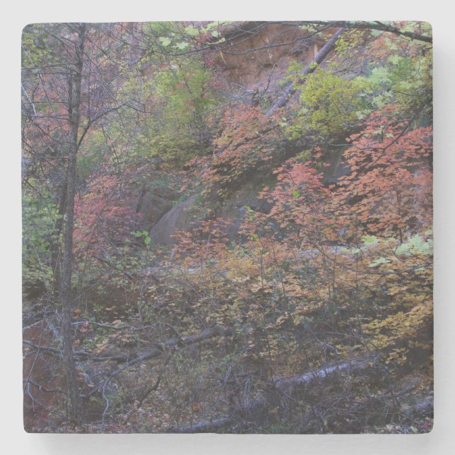 Dessous-de-verre En Pierre Automne dans Sedona (Devant)