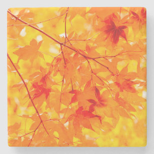 Dessous-de-verre En Pierre Automne Feuilles Automne Nature Orange