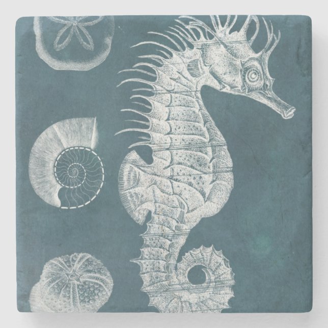 Dessous-de-verre En Pierre Azure Seahorse Study I (Devant)