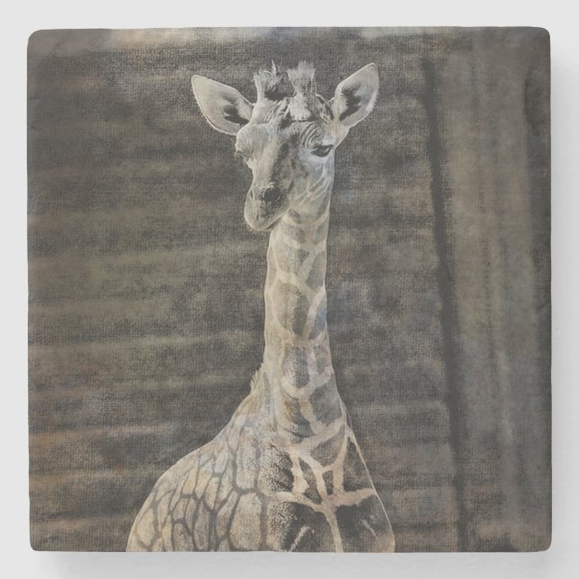 Dessous-de-verre En Pierre Baby Giraffe (Devant)