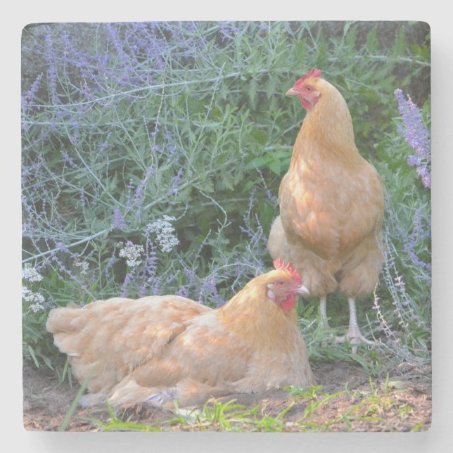 Dessous-de-verre En Pierre Bain de soleil aux poulets (Devant)