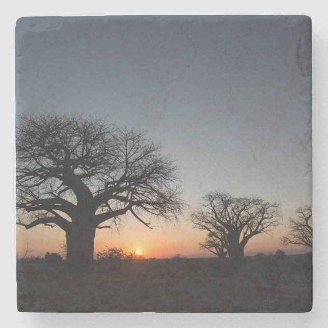 Dessous-de-verre En Pierre Baobabs sacrés (Devant)
